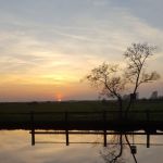 die Sonne versinkt